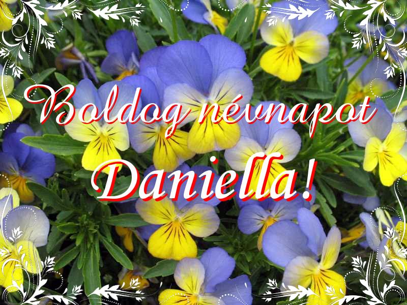 Daniella névnapi köszöntő