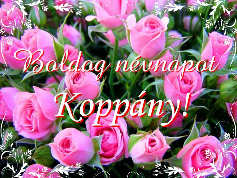 Koppány névnapi köszöntő