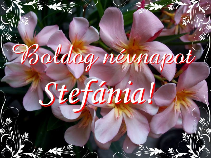 Stefánia névnapi köszöntő