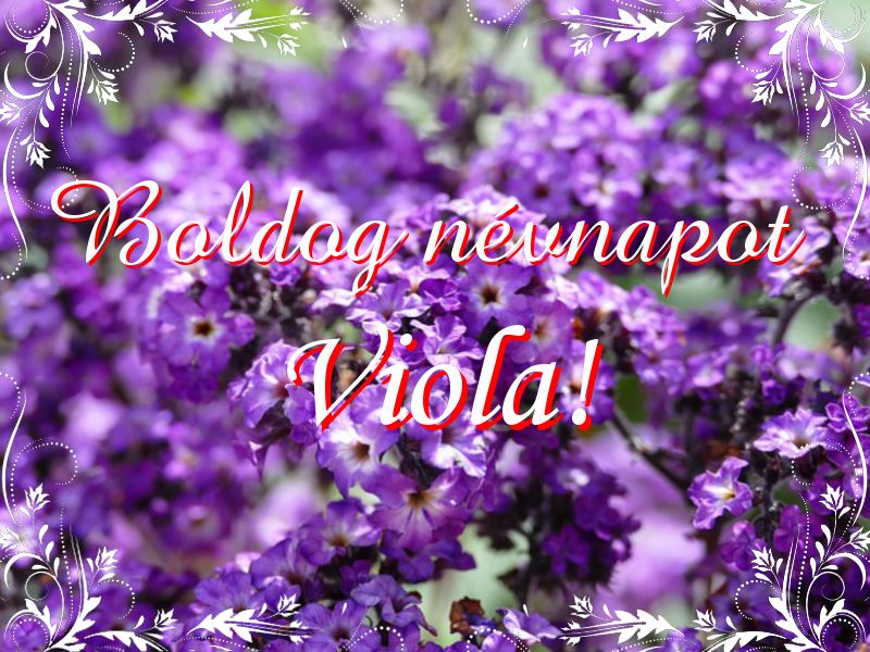 Viola névnapi köszöntő
