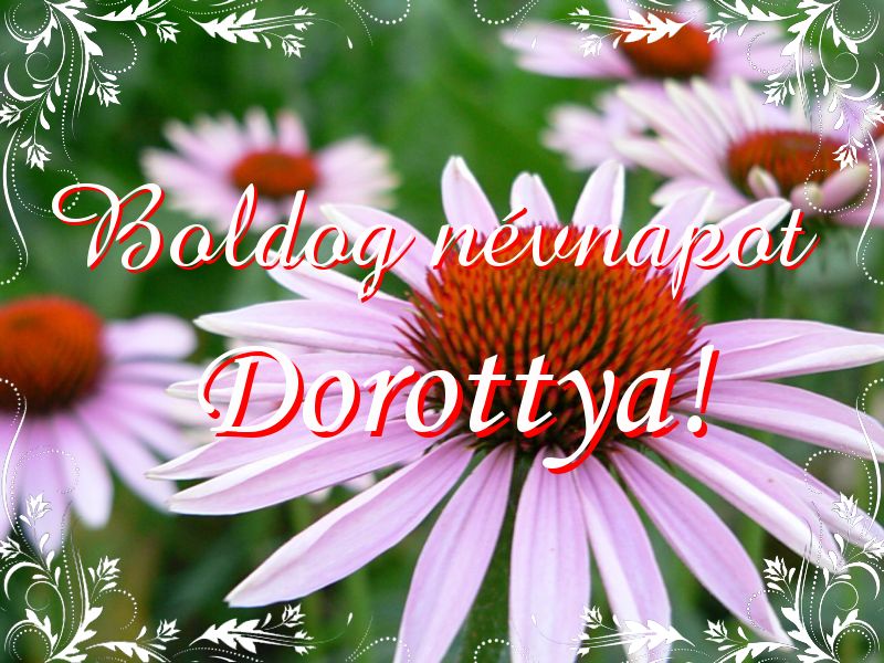 Dorottya névnapi köszöntő